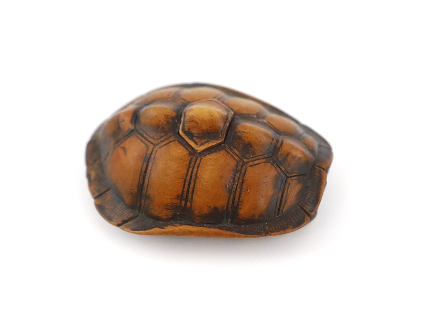 A Japanese carved wood netsuke of a turtle shell, mid 19th century